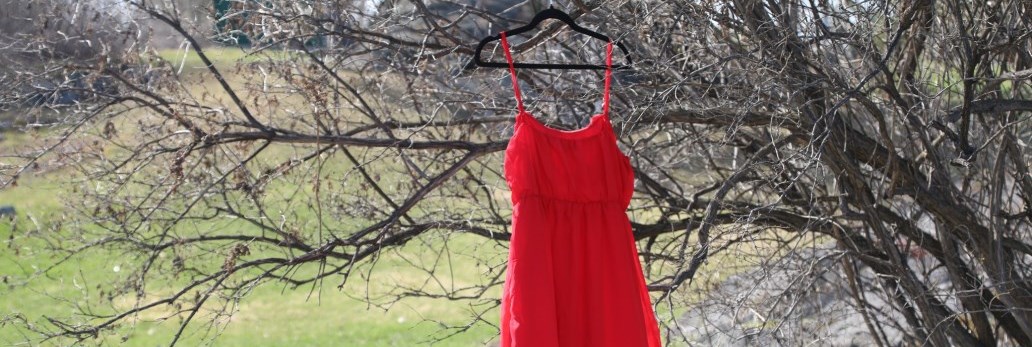 red dress hanging from tree