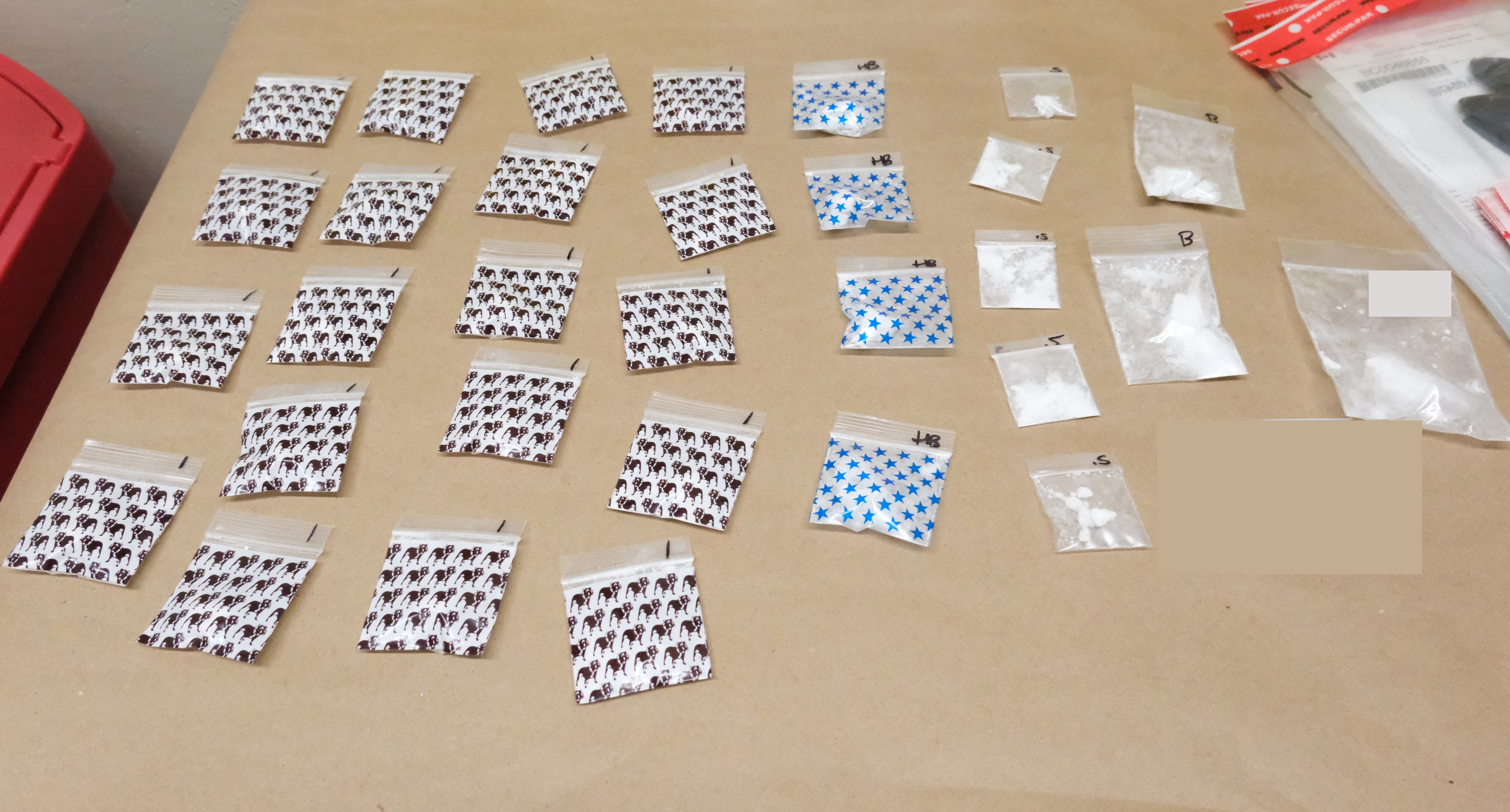 drugs seized